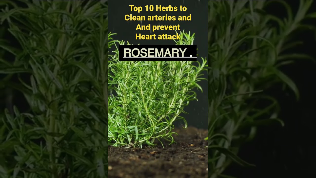 Top 10 herbs to clean arteries and Prevent Heart Attack