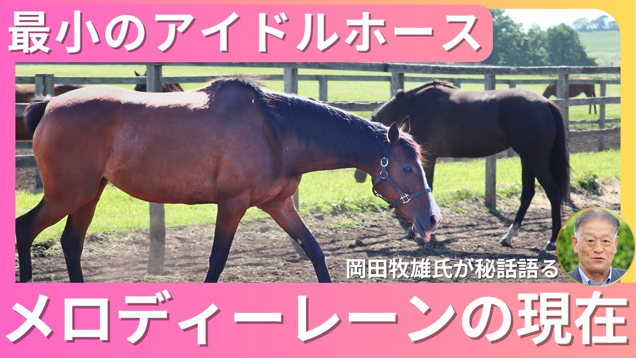最小のアイドルホース　メロディーレーンの現在…期待の母から生まれた子供が小さすぎて騒然　“競走馬は無理〟から常識外の活躍までのシンデレラストーリー