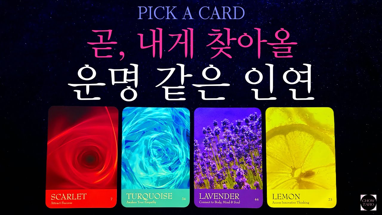 🦋나에게 찾아올 인연은 어떤 사람일까요? 상대방의 특징과 찾아오는 방식• 내가 알아야 하는 것 등🔮