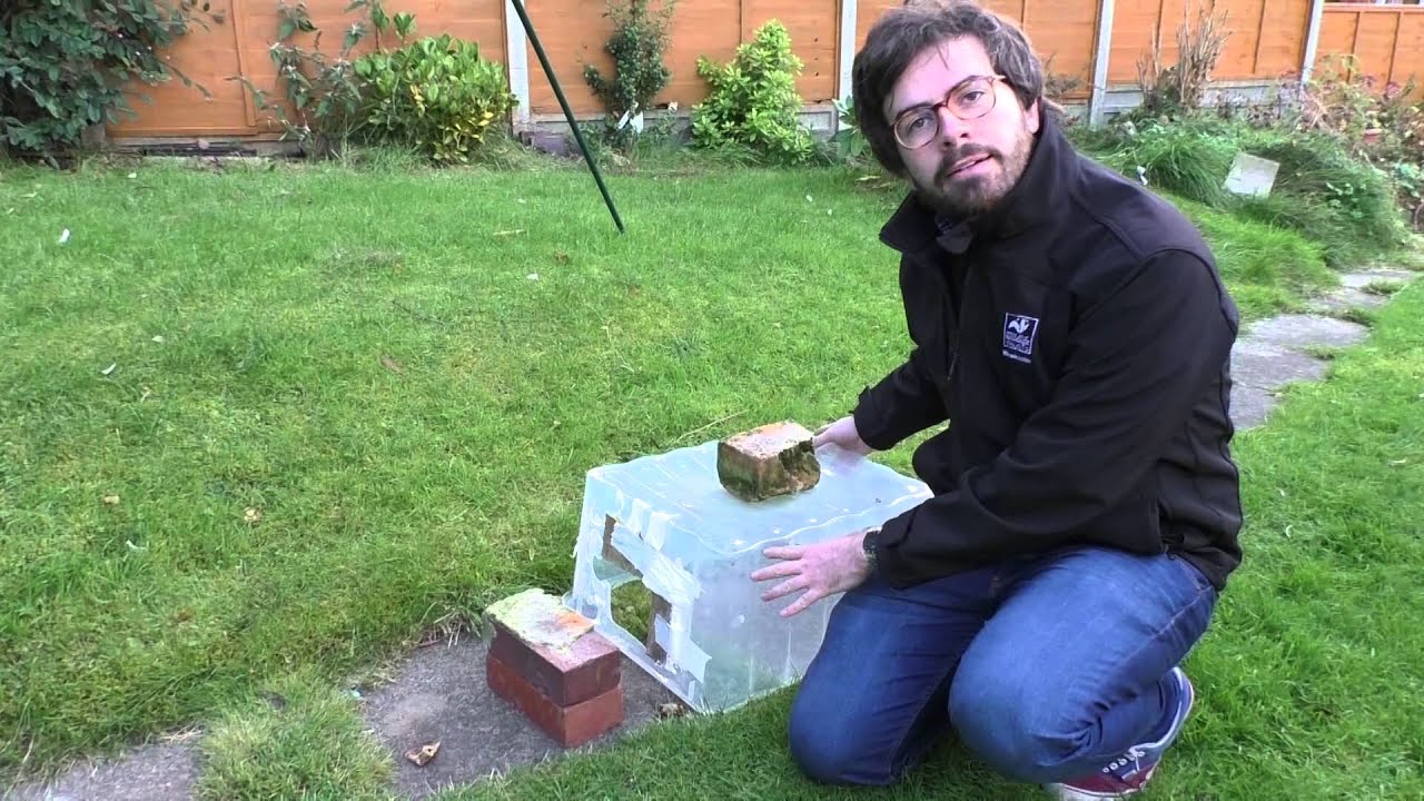 How to make a hedgehog feeding station