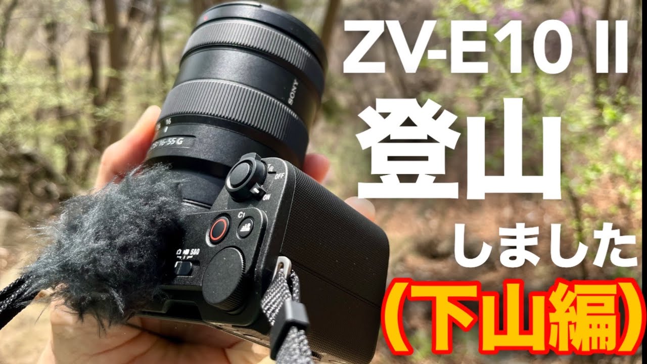 【神レンズ検証】妙義山登山でE 16-55mm F2.8 G （SEL1655G）×ZV-E10 IIの本気性能を試してみた【初心者Vlog＆作例大量】