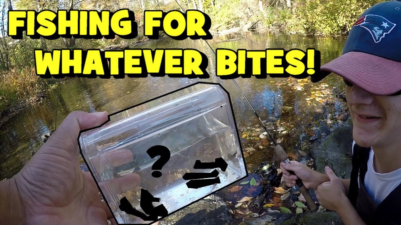 A GREAT FIND!!! Fishing for WHATEVER BITES in the CREEK!!! (2019 Poconos Trip: EP 2/2)