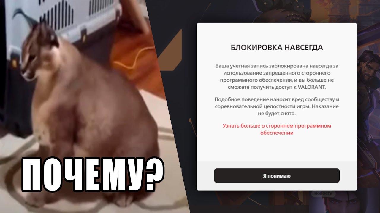 Меня забанили в Valorant НЕ ЗА ЧТО