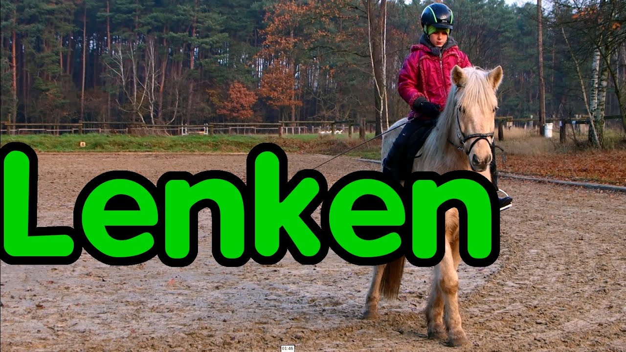 Pferd lenken