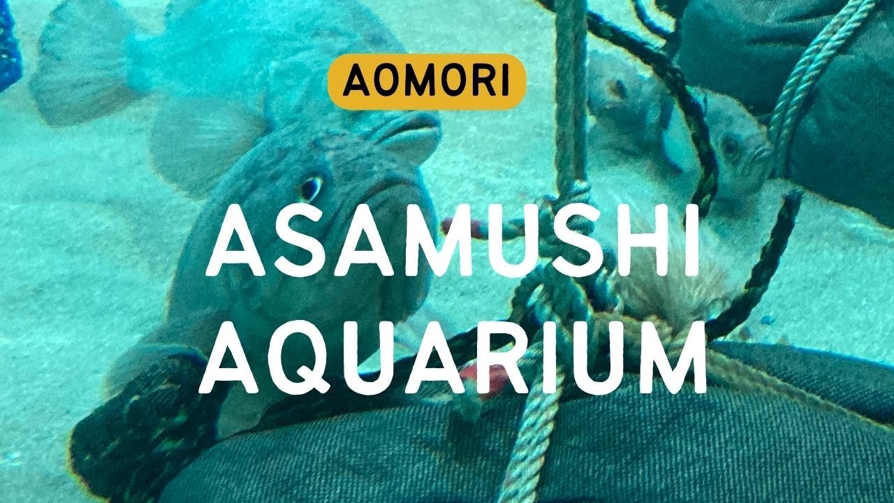 Asamushi Aquarium in Aomori