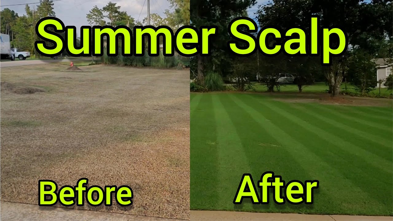Scalping Bermuda and Killing Army Worms