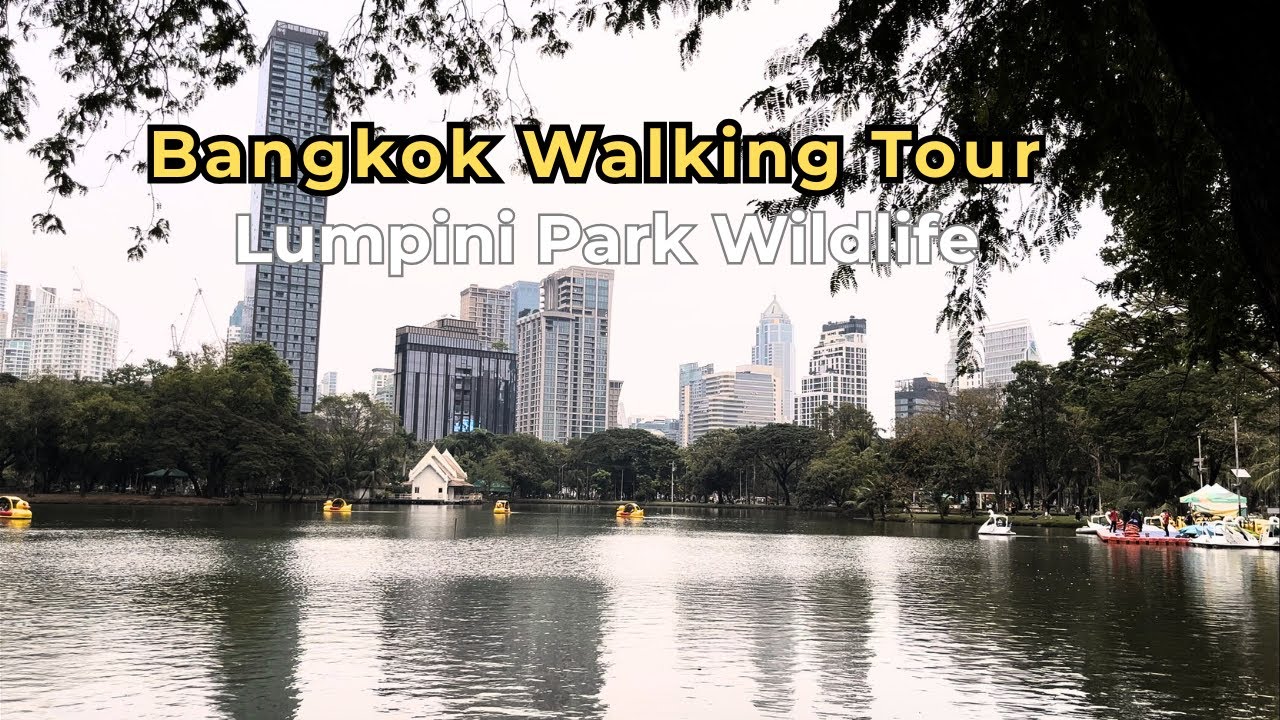 Bangkok Walking Tour: Lumphini Park Wildlife (4K)