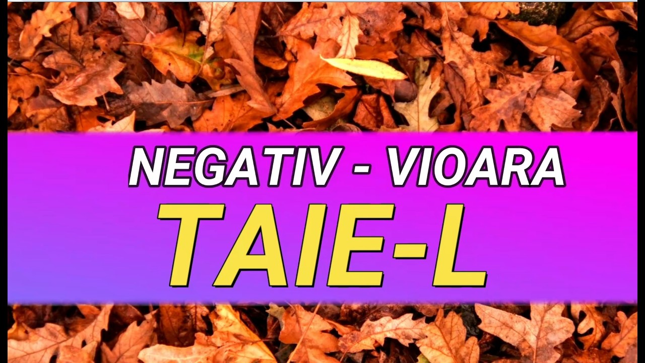 Taie-l Negativ Vioara