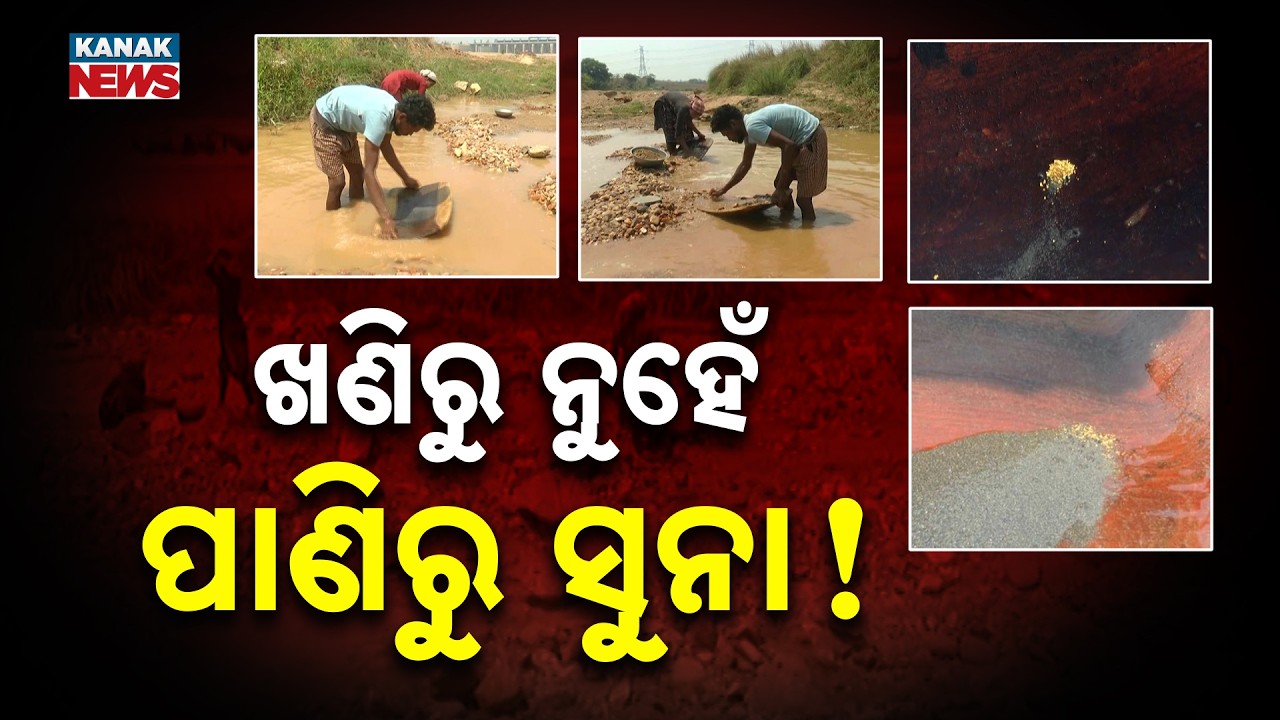Gold Treasure Found In Odisha River; Hundreds Rushing To Sundargarh!