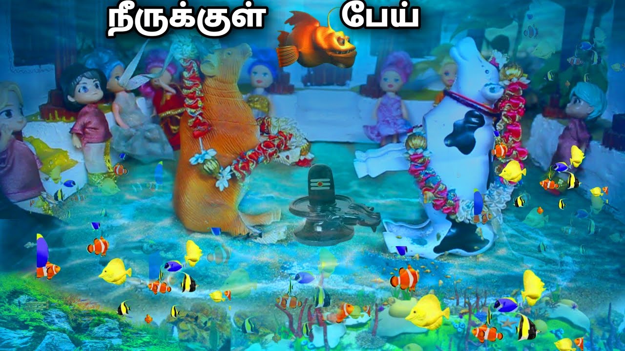 மாடு நீருக்குள் மூழ்கியது | Eight and five barbies | black and blue barbies