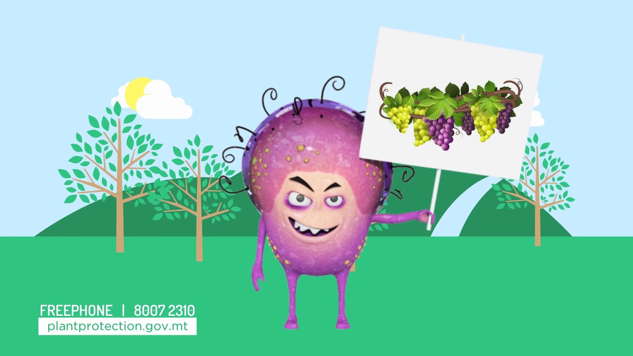 Defending our Environment - Xylella Fastidiosa