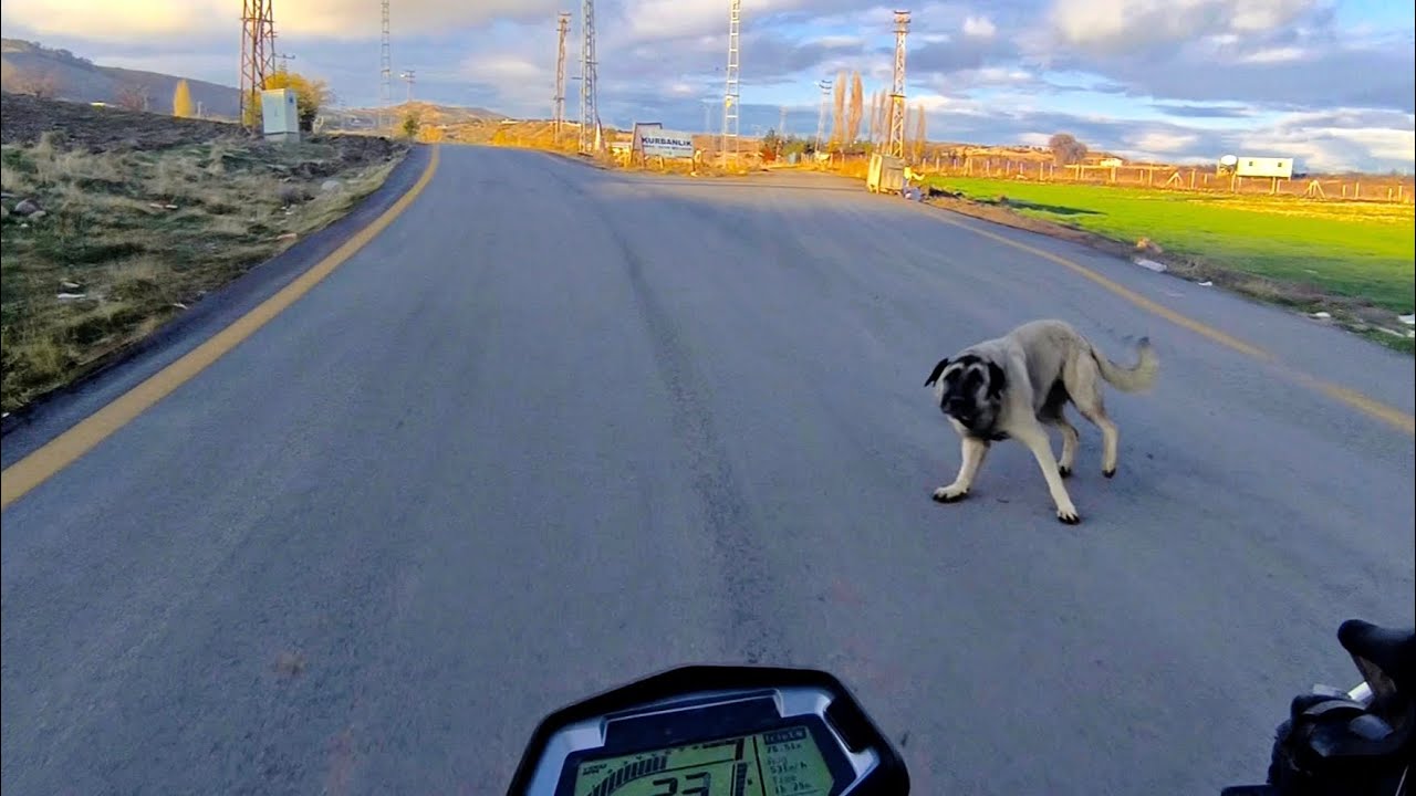 XPULSE ile Araziye Giden Yol 
