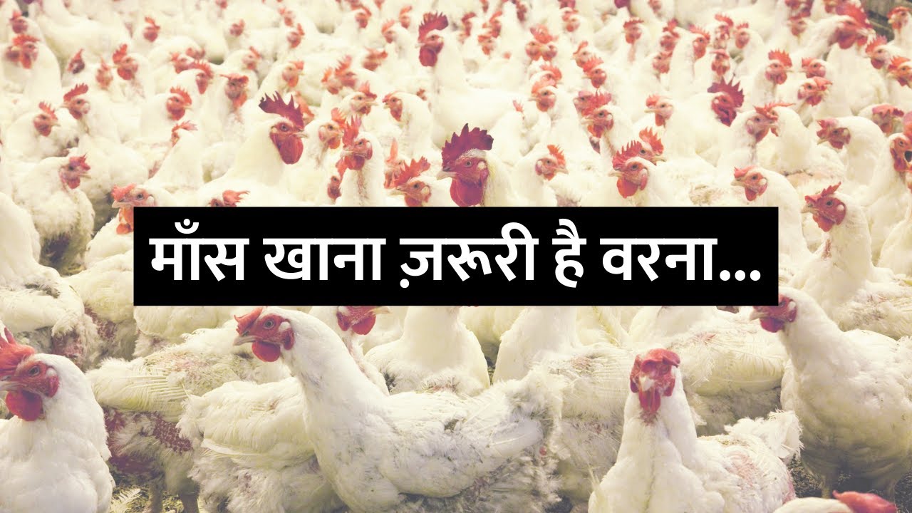 Will animals overpopulate if we don't eat them? [Hindi with English CC]