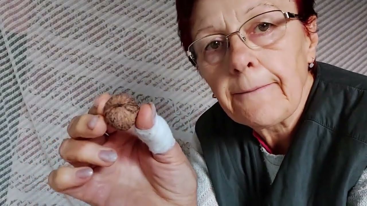 Diót és mogyorót törtem, közben mondtam ezt azt