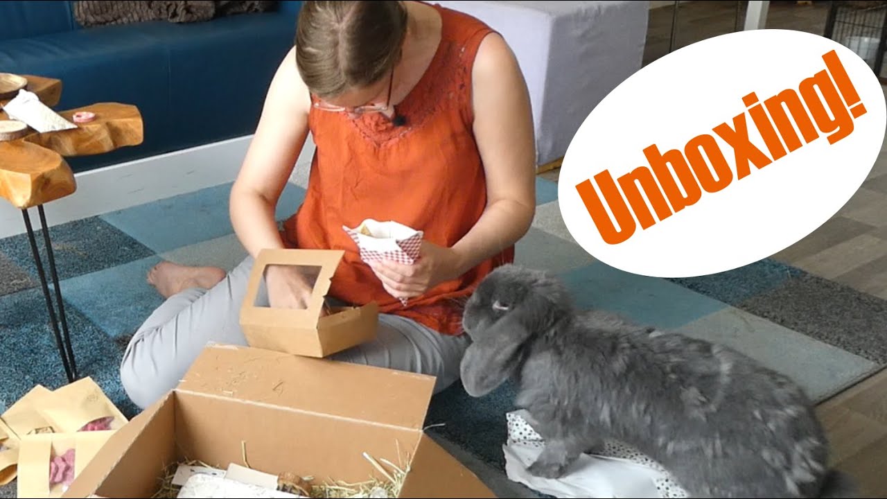 UNBOXING video! De heerlijkste SNACKS en leuke ACCESSOIRES voor KONIJNEN
