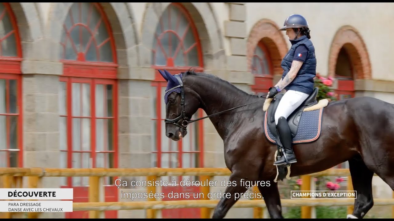 D&eacute;couverte du para dressage - Champions d'Exception #51