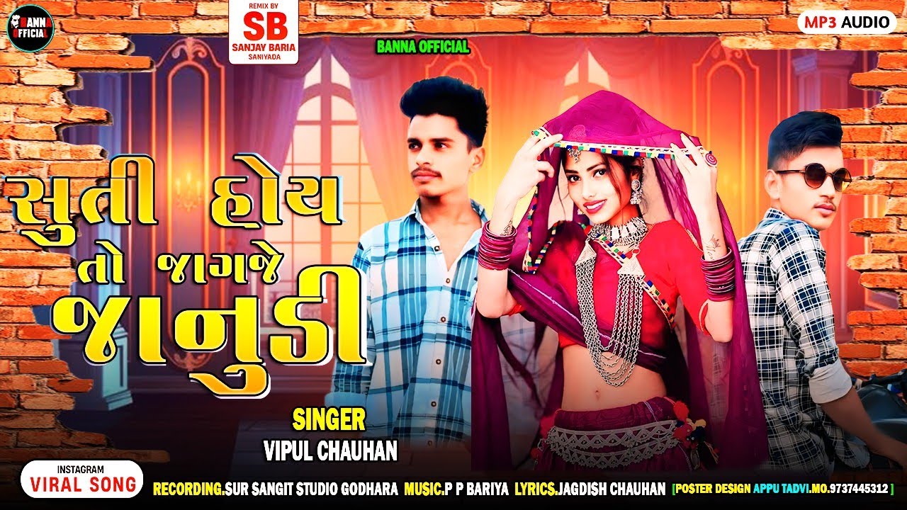 VIPUL CHAUHAN NEW TIMLI SONG 2025||સુતી હોય તો જાગજે જાનુડી||DJ REMIX SONG AUDIO 