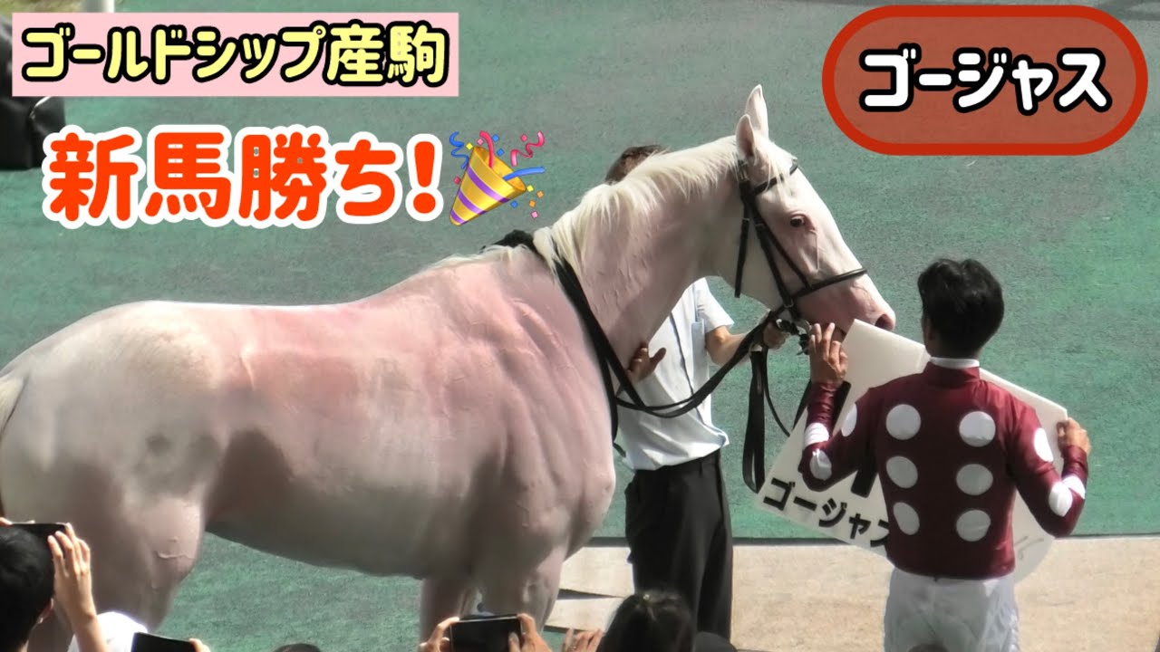 【ゴールドシップ産駒】浜中騎手と勝利のハイタッチをする