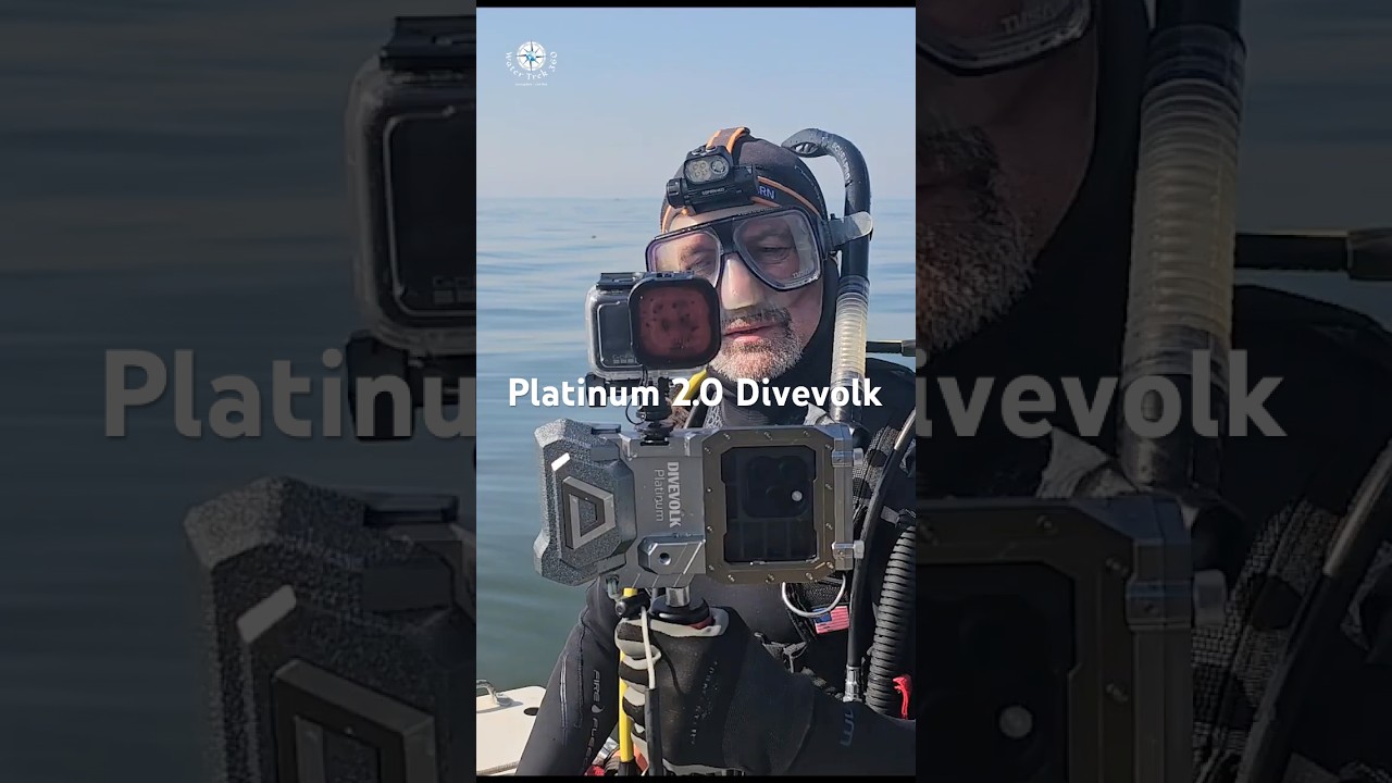 Platinum 2.0 Divevolk NEW RELEASE!   