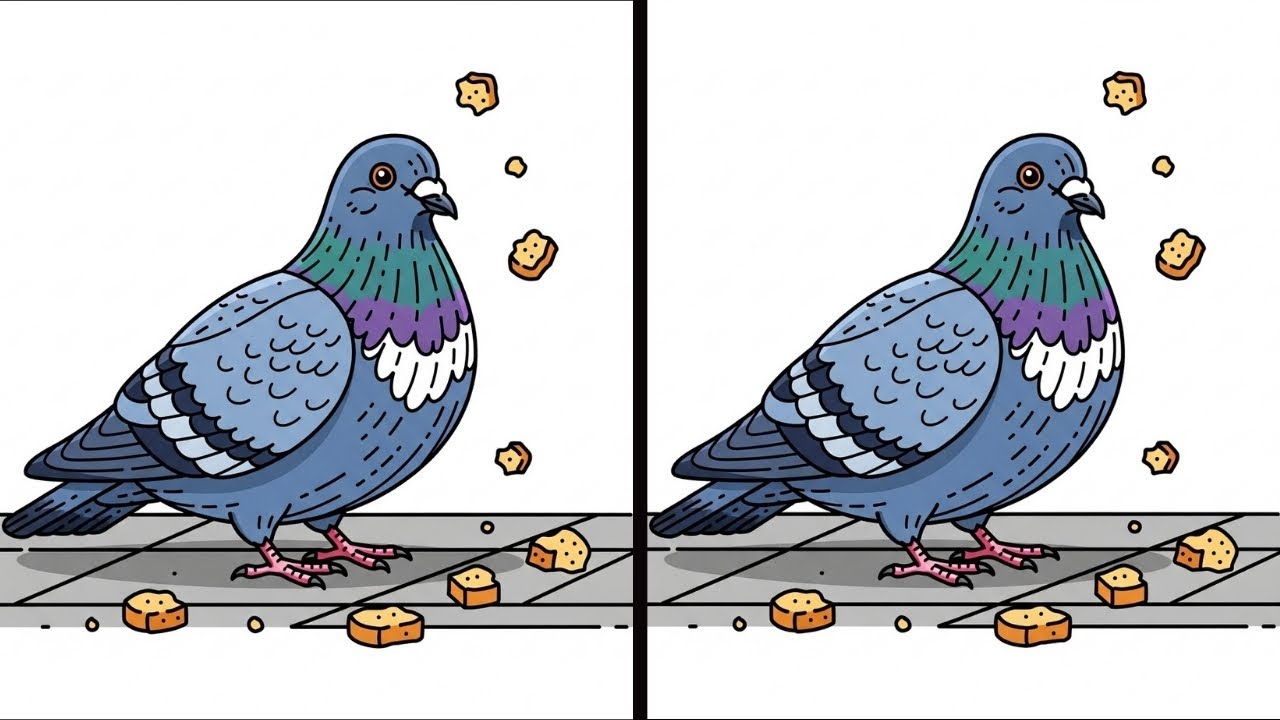 Проверь Свое Внимание: Пазл 60 Минут #40