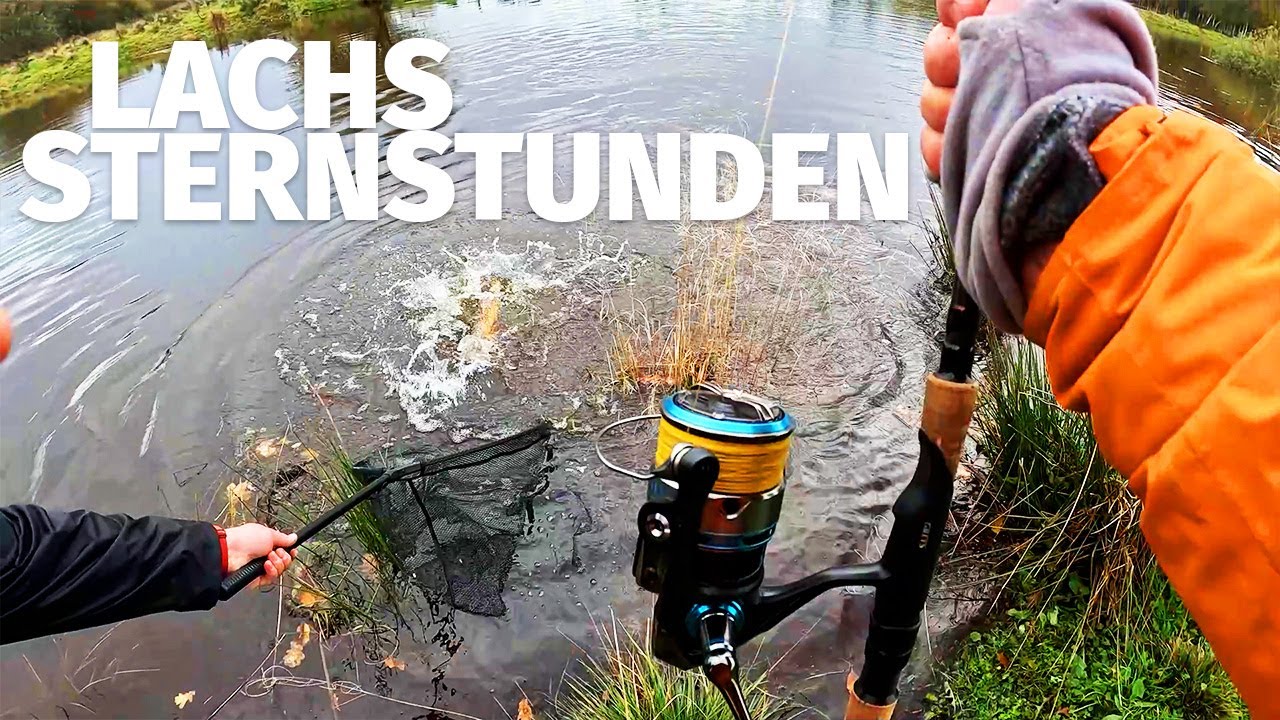 FISCHE OHNE ENDE auf VATER/SOHN TOUR - J&Ouml;RG OVENS LACHSTAGEBUCH