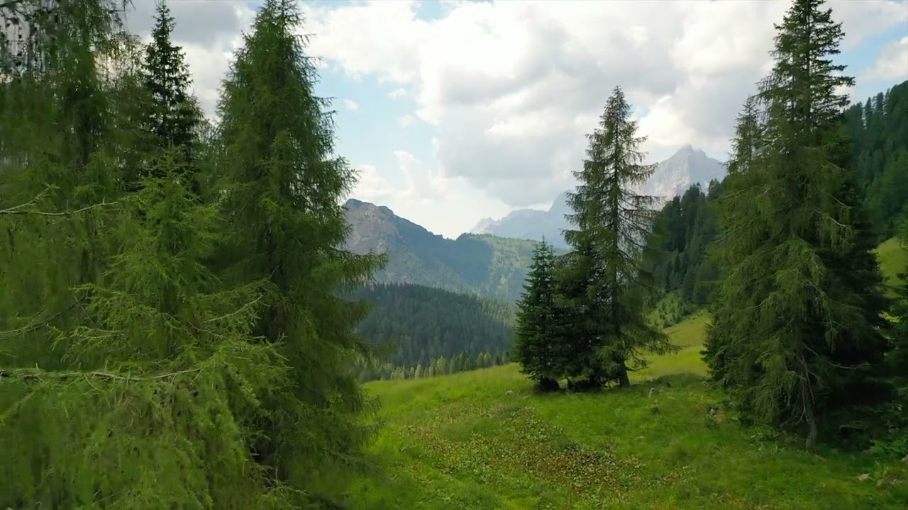 FORCELLA AMBRIZZOLA PASSO FALZAREGO PASSO GIAU