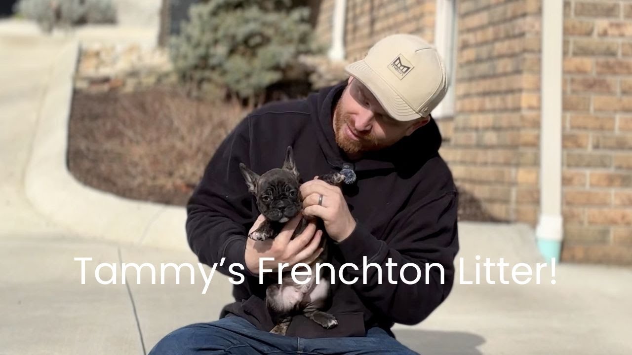Здесь, в питомнике Woodland Frenchies, опубликована новая информация о наполнителе для питомника ...