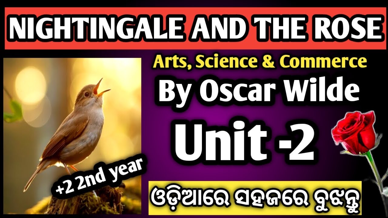 Nightingale and the rose unit 2 | nightingale and the rose by oscar wilde in odia