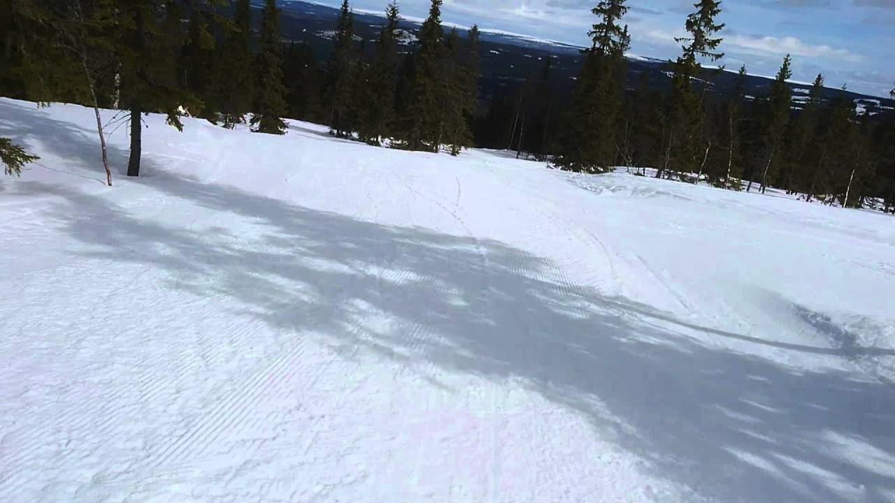 Vihammerskogen, Trysilfjellet