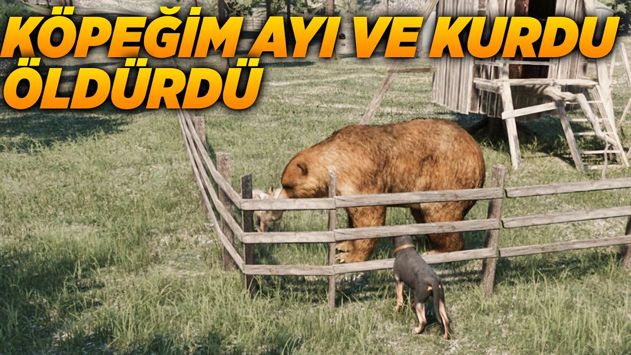 KÖPEKLERE YENİ YUVA YAPTIM VE KÖPEK AYI VE KURDU ÖLDÜRDÜ | RANCH SİMULATOR BÖLÜM 1