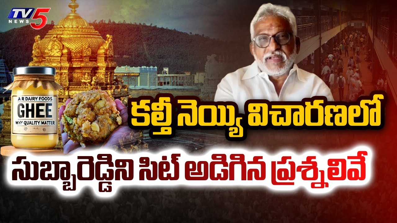 SIT Questioned YV Subba Reddy For 3.5 Hours Over Tirumala Ghee Issue || TV5 News