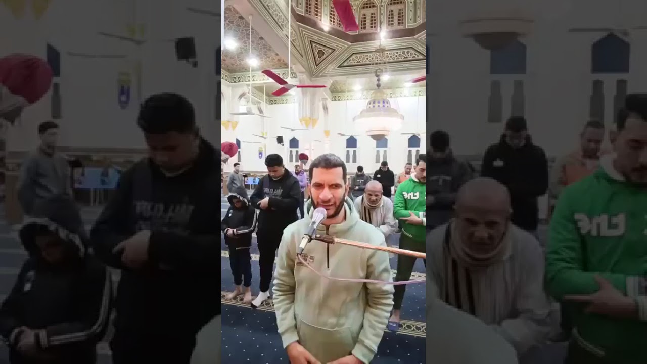العشاء 