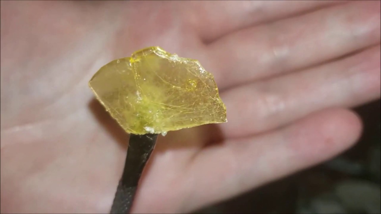 SHATTERDAY STRAIN REVIEW 004: master kush shatter & wax by Honeybadger Extracts - Shatterstore