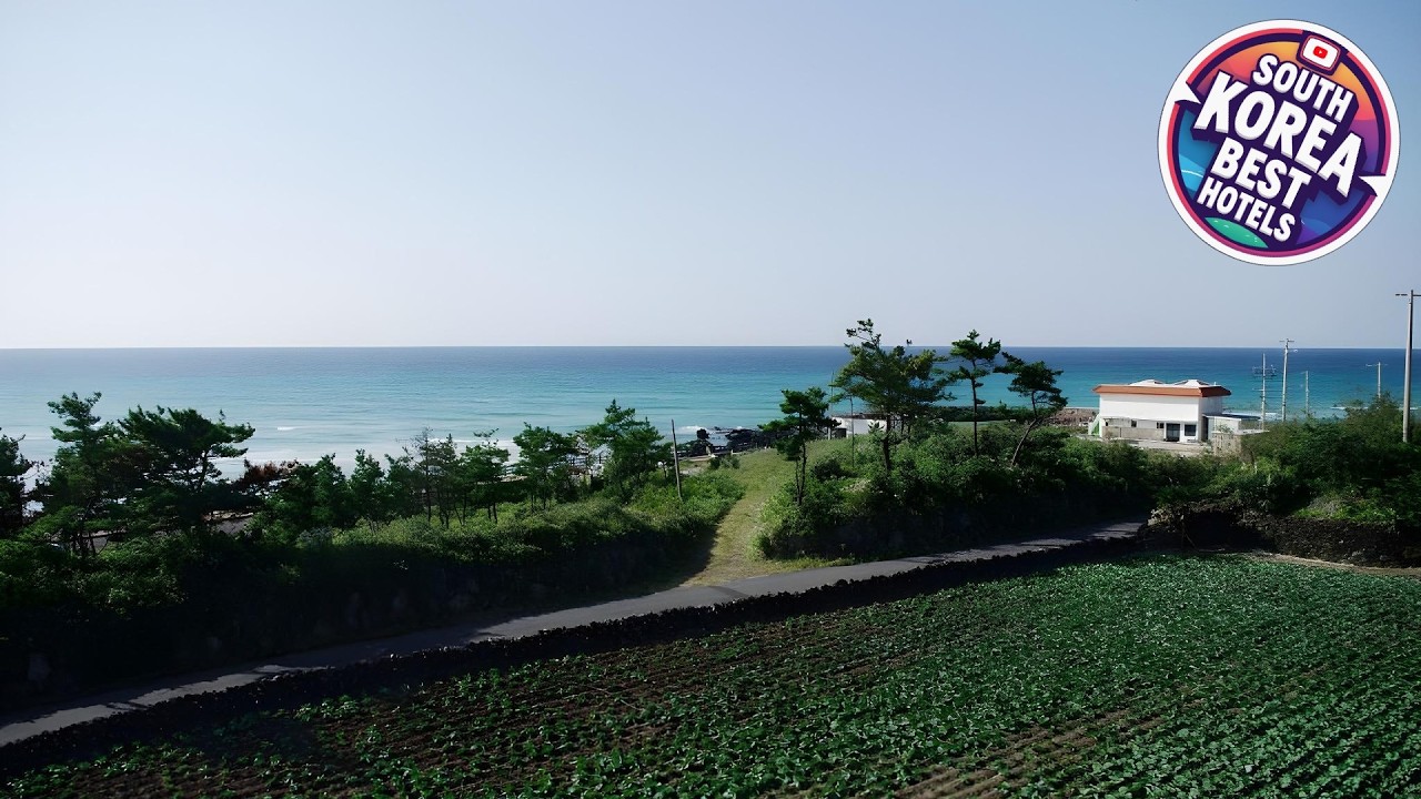 6pm Pension | Jeju, South Korea | Hotel Review 🛏️
