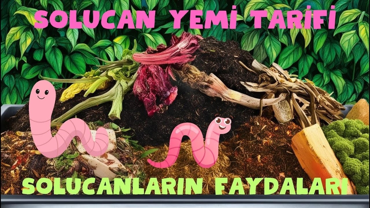 SOLUCAN FAYDALARI VE SOLUCAN YEMi YAPIMI