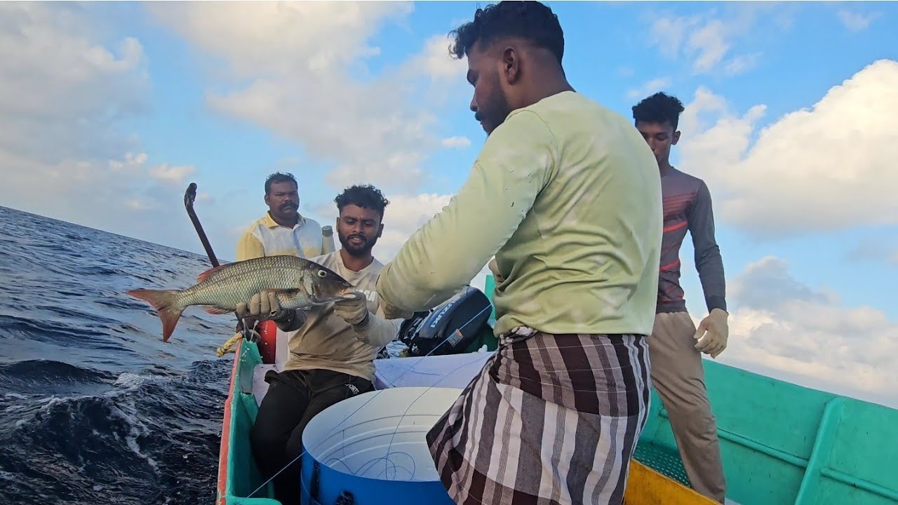 ohh!!!  line fishing!!  we are caught lonenose emperor | trevelly jack | grouper fishes in deepsea!!