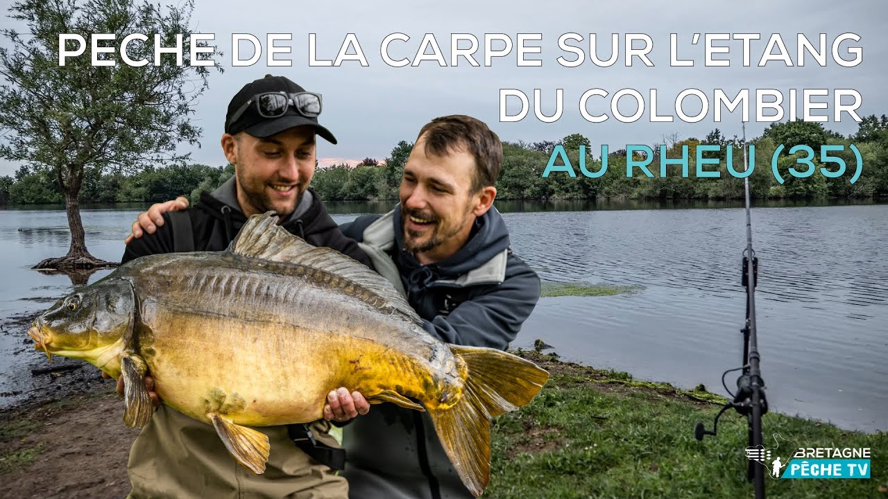 Pêche de la Carpe, sur l'étang du Colombier au Rheu (35)