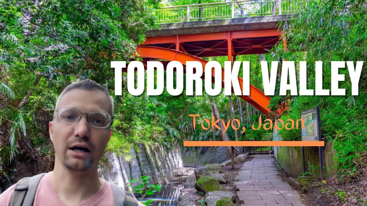 This is Tokyo!? (Todoroki Valley 2022)
