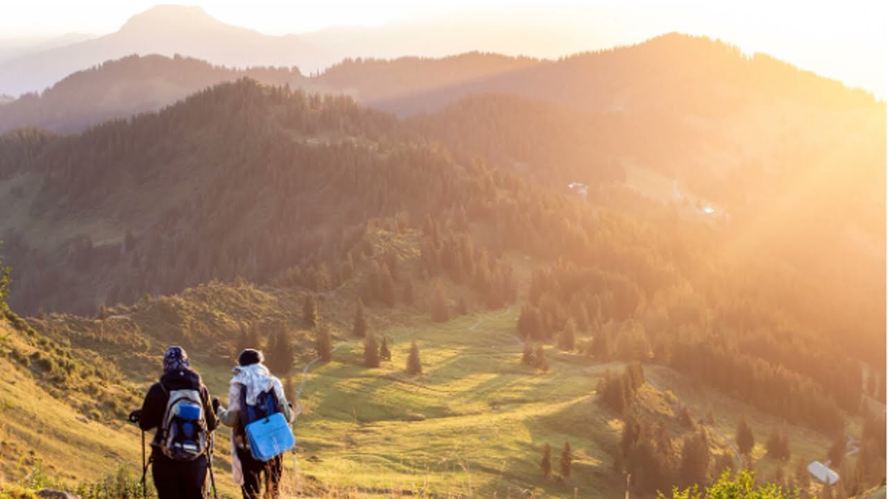 Campos de altitude no mundo: acima da linha das árvores