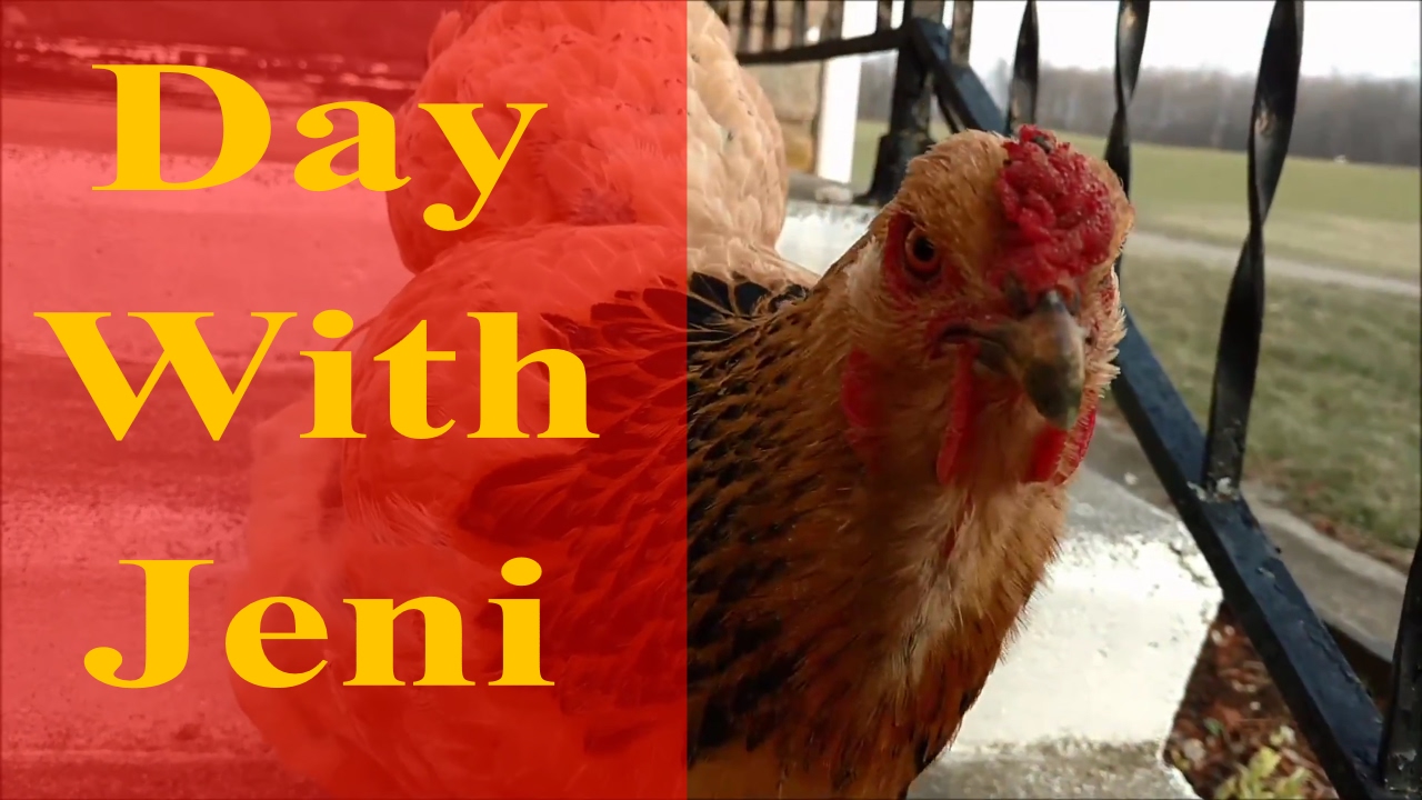 Day With Jeni - Cleaning, Bread, and Kids