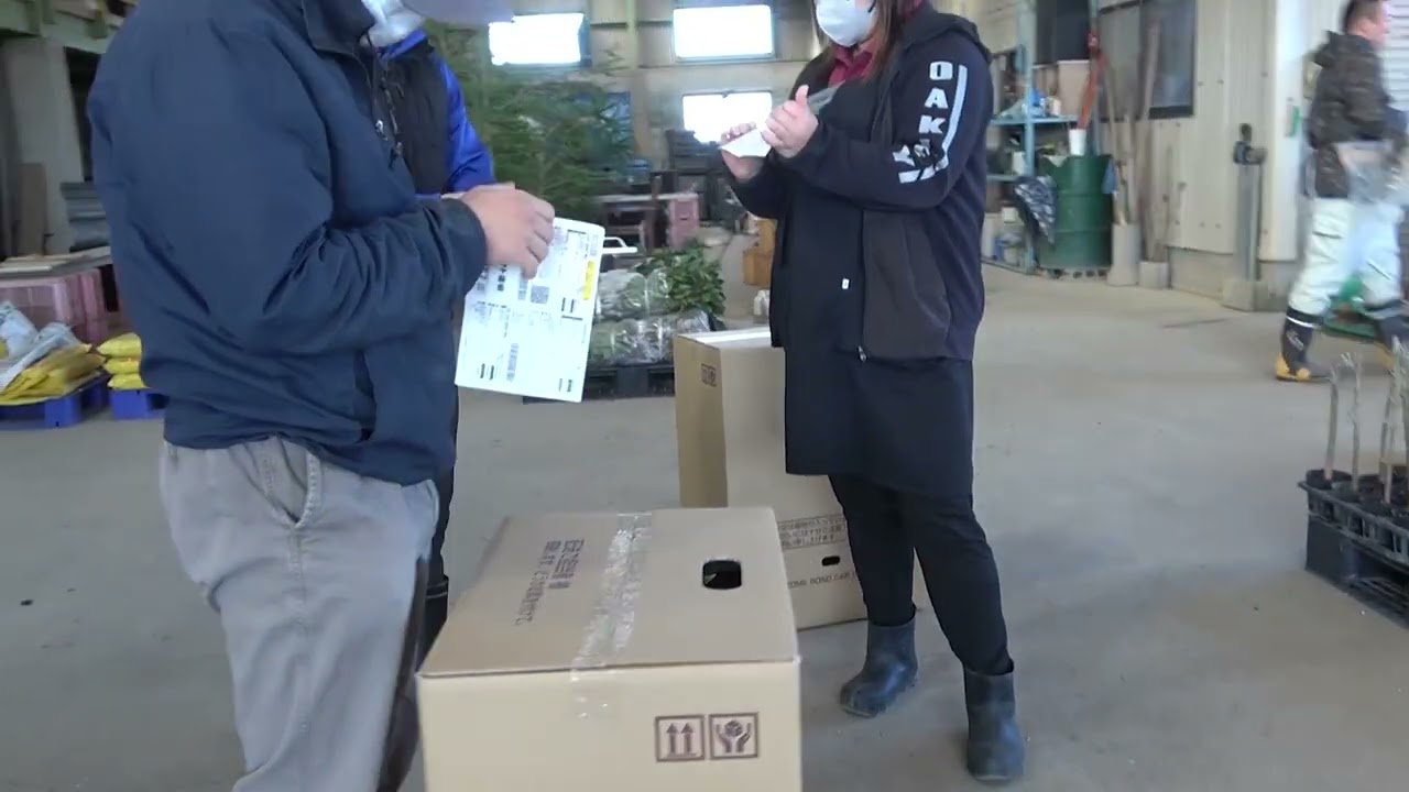 うきはかいねっと　農福連携　根切り・出荷・清掃作業模様の紹介です。　2026/02/03