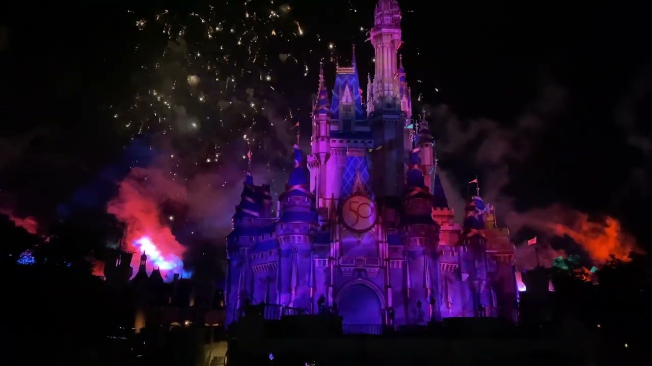 THE NIGHT VIEW OF DISNEY WORLD FLORIDA