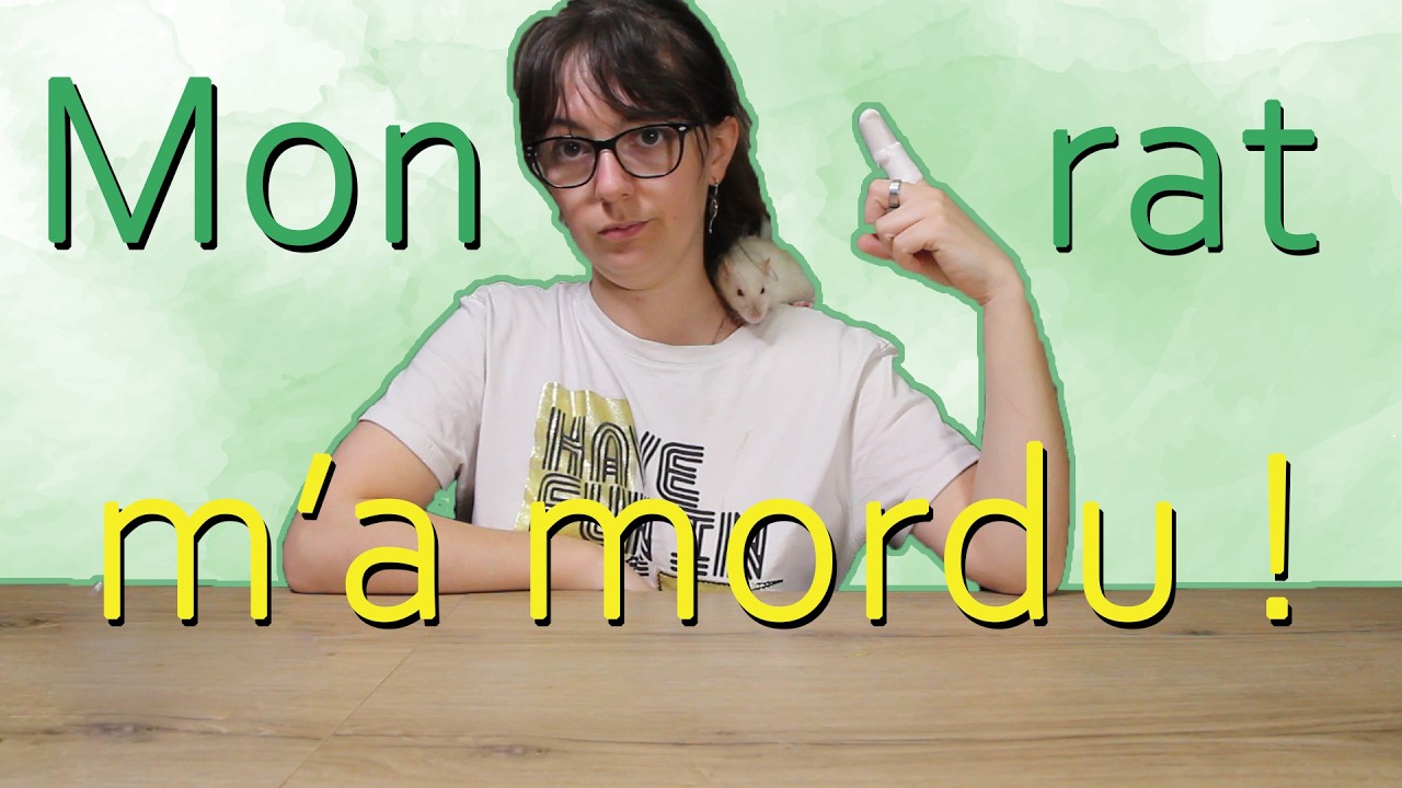 Ratouphiles&Co - Les morsures