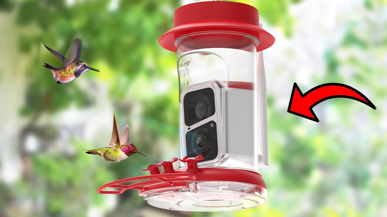 Best Hummingbird Feeder with Camera: Soliompro BF10 Review