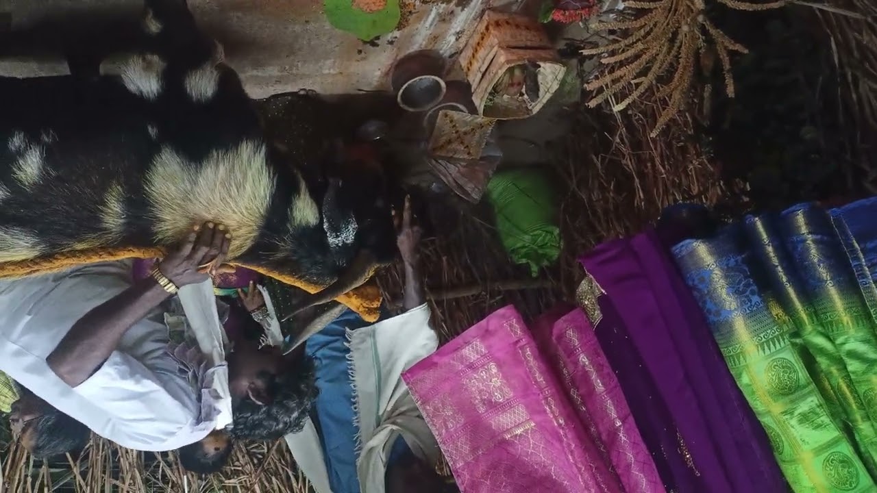 Nunela yarrayya gollasaduvu 