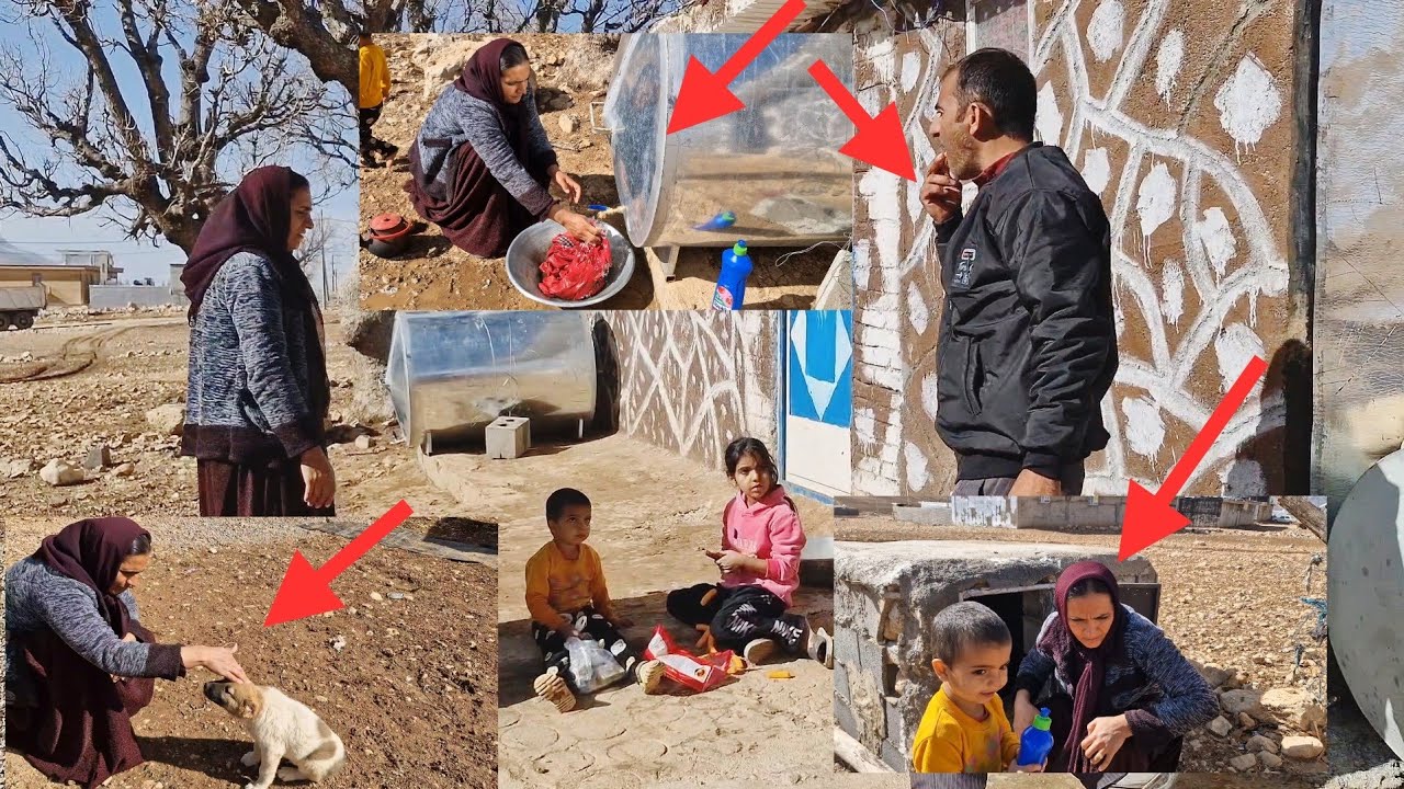 Mohsen vs. Elham: A Stray Puppy Sparks an Unexpected Conflict!”