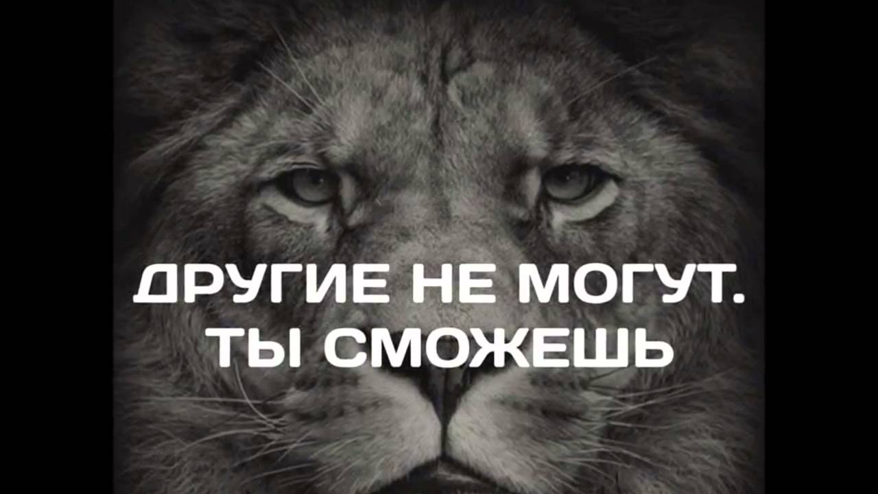 Motivational quotes for all occasions Motivation