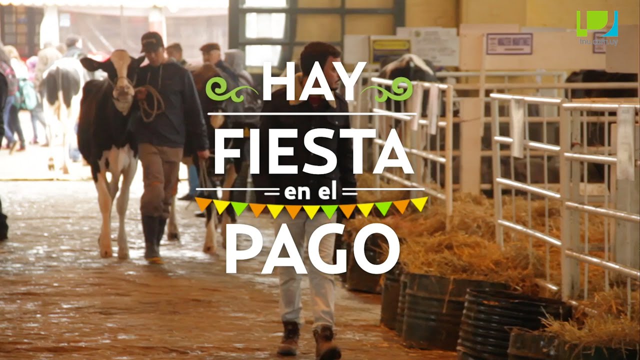 Hay fiesta en el pago - Rural del Prado