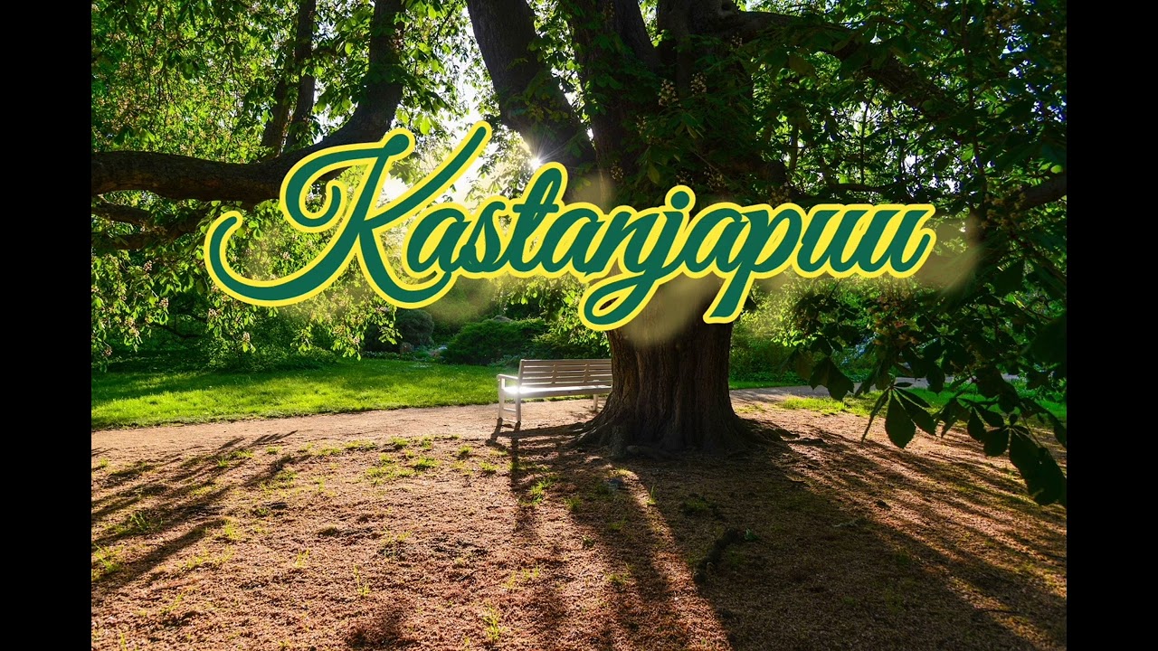 Kastanjapuu