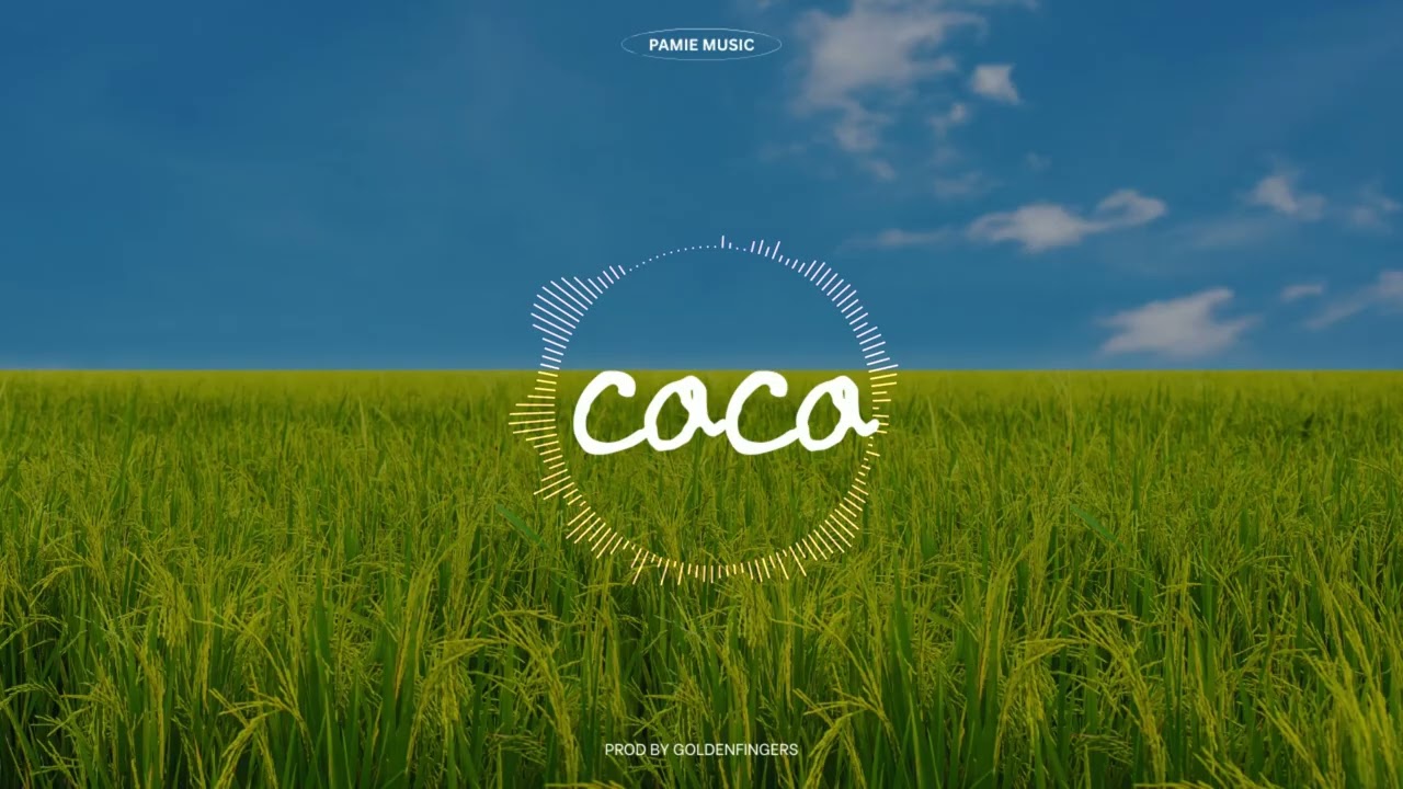 COCO | Afrobeat Instrumental |2026